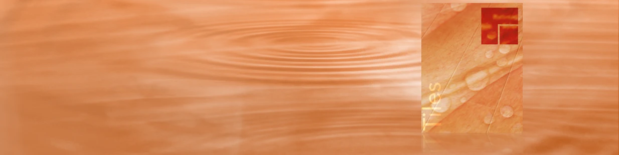 Flie-San · Tiles Sanitation · Tiles