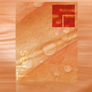 Flie-San · Tiles Sanitation · Tiles